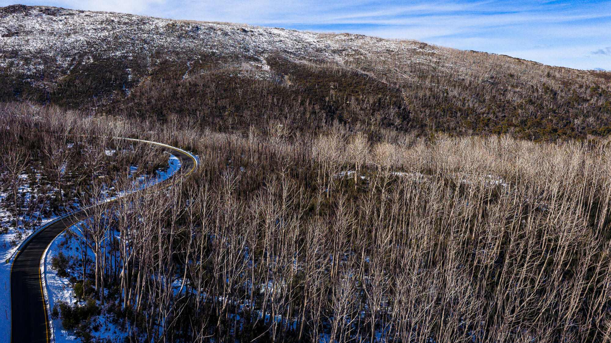 Thredbo Thredbo
